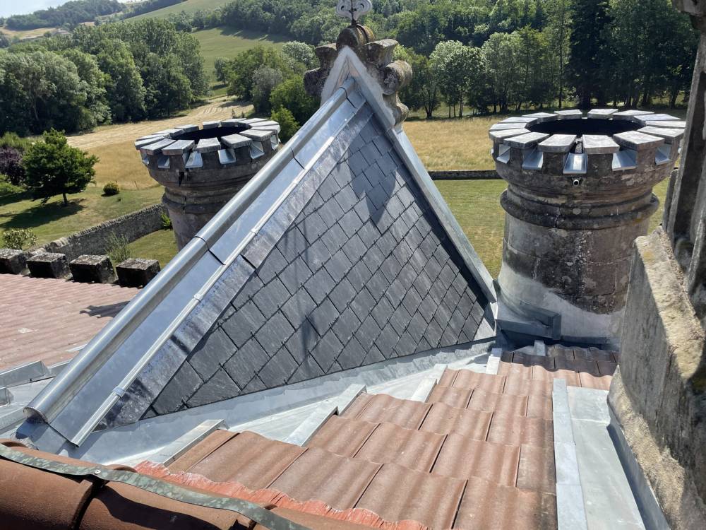 Château ALBOUSSIERE (2)